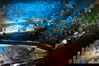 Accommodation Los Angeles