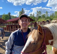 Horseback Riding in the Bridger-Teton National Forest - Accommodation Los Angeles