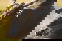  Accommodation Los Angeles