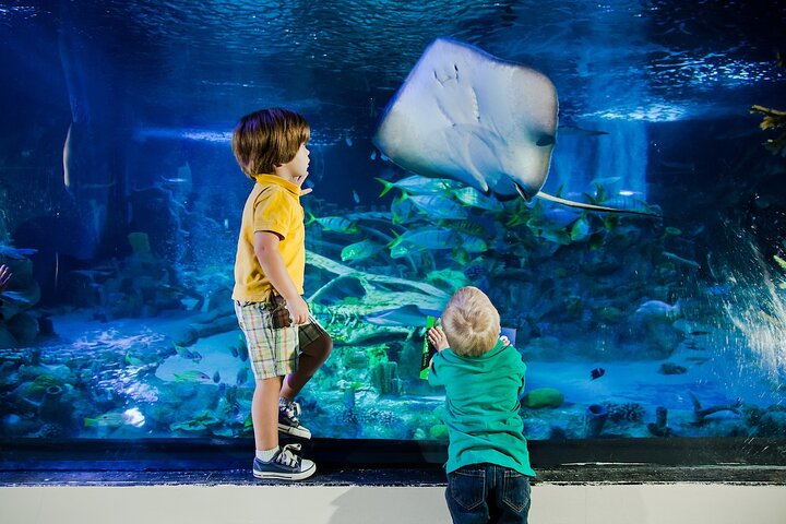 SEA LIFE Orlando Aquarium - thumb 2