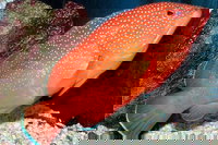  Accommodation Los Angeles