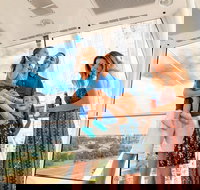 2 or 3-Attraction Pass: Wheel at ICON Park, Madame Tussauds & SeaLife Aquarium - Accommodation Los Angeles