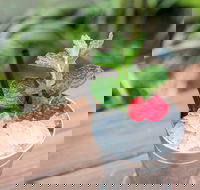 Small-Group Cocktail Tour in Denver - Accommodation Los Angeles