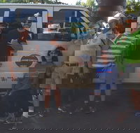 Grand Canyon Sightseeing Tour from Flagstaff - Accommodation Los Angeles