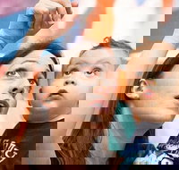 Houston Museum Pass - Accommodation Los Angeles