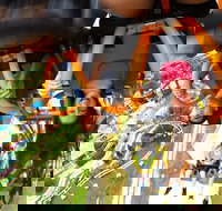 Go City: San Antonio Explorer Pass - Choose 2, 3, 4 or 5 Attractions - Accommodation Los Angeles