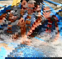 Classic Salt River Raft Trip - Accommodation Los Angeles