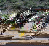 Half-Day Salt River Raft Trip - Accommodation Los Angeles