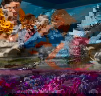 SEA LIFE Orlando Aquarium - Accommodation Los Angeles