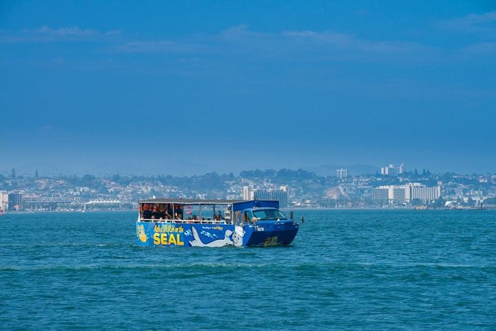 San Diego Seal Tour - thumb 2