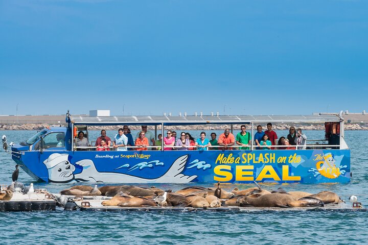 San Diego Seal Tour - thumb 4