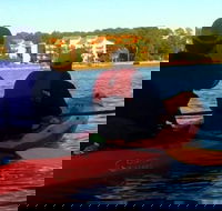 Dolphins and Wildlife Kayak Experience from Gulf Shores - Accommodation Los Angeles